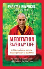 Meditation Saved My Life: A Tibetan Lama and the Healing Power of the Mind by R,