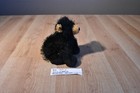 Bild 2 von 4
