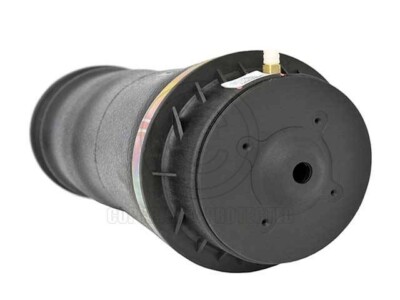 MERCEDES GL320 GL350 GL450 (2006-2019) Pneumatic Spring Rear Left or Right (1)