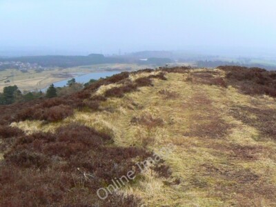Foto 6x4 Gipfelgrat von Blacklaw Hill Lundie \/NO2936 Blick nach Osten Towar c2010