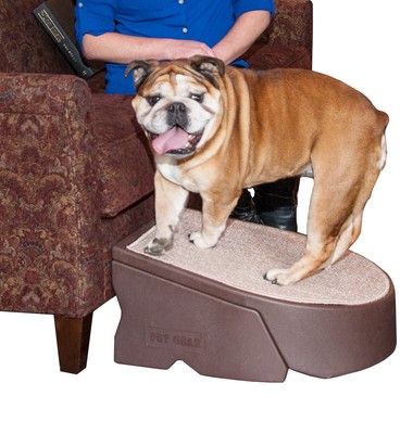 Stramp Stair and Ramp Combination for Dogs/Cats, Easy Step, Lightweight/Porta...