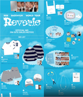 EXOベッキョン2025 BAEKHYUN Reverie ソウルコンTシャツ Baekhyun Reverie Tour 2025 T-shirt, EXO Baekhyun Shirt, 2025