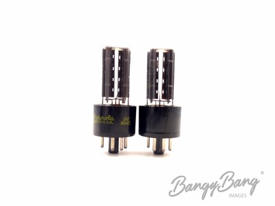 Matched Pair Philco/Motorola 5Y3 Rectifier Guitar Amp.- Bangybang.tube
