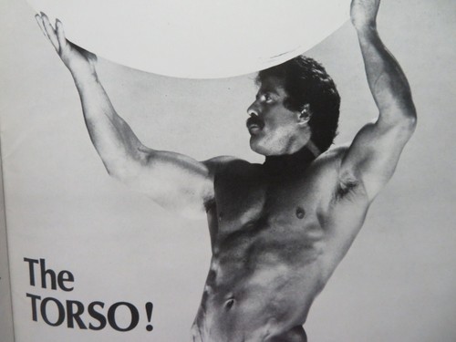 COLT STUDIO PRESENTS #5 1984 THE BODY BEAUTIFUL EDITION - Picture 6 of 9