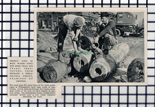 C6330) Philadelphia USA Tree Trunk Water Pipes  - 1950  Cutting
