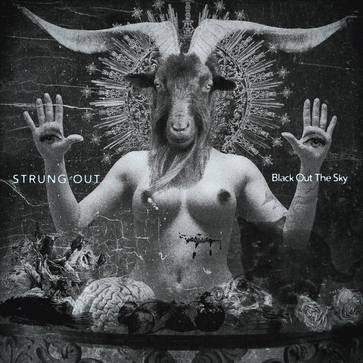 Strung Out Black Out the Sky (Vinyl LP) 12" Album