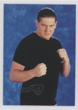 1998 Comic Images WWF Superstarz Steven Regal #37 11pj