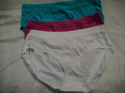 N/WO/T Hanes X-Temp Different Colors Briefs Panty Sizes 6,7,8,9,7 10 - Picture 11 of 12