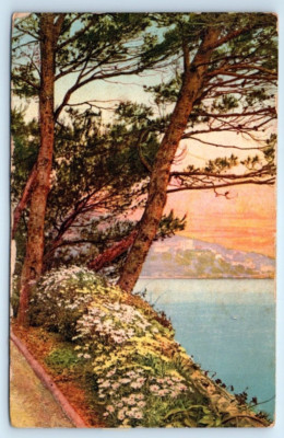 Au bord de la Mer - Cote d'Azur - FRANCE Postcard