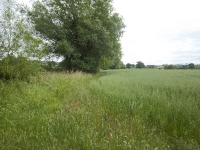 Foto A2 Feldrandweg Aston Unterkante Von einem Fußweg keine Spur B c2011
