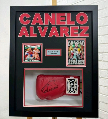 SIGNED CANELO ALVAREZ CLETO REYES GLOVE WITH PSA STICKER PROOF RARE