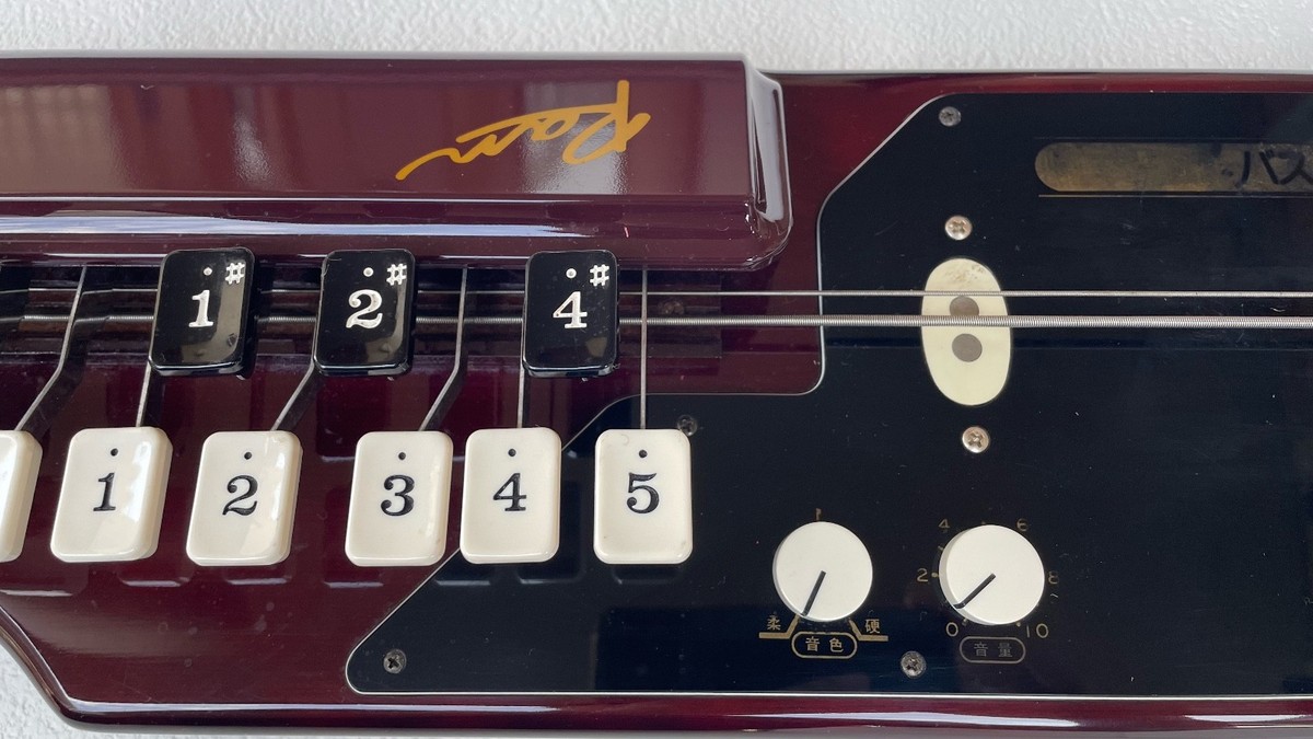 Suzuki Ran Bass Taishogoto Koto Electric Nagoya Harp Peacock