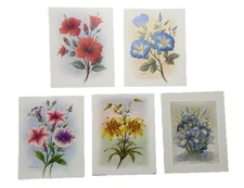 x5 Flower Prints by Rob Pohl : 10" x 8" John Arnold Publishers Iris Lilies