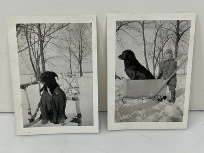 Lot 2 Found Photos Labrador Retriever Dog Dressed Up in Jacket w/ Kid in Snow