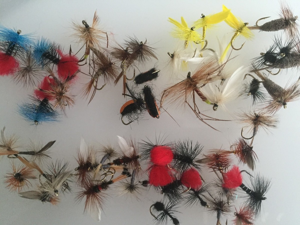 Mouches de Pêche à Sec Boite Sélection De Plus Que 50 Mouche Pour Truite #322 eB