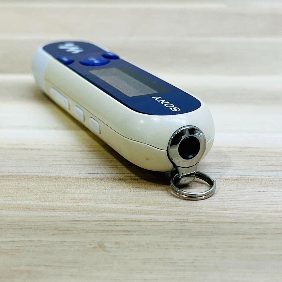 SONY Walkman NW-E042 MP3 Player Blue/white Good | eBay