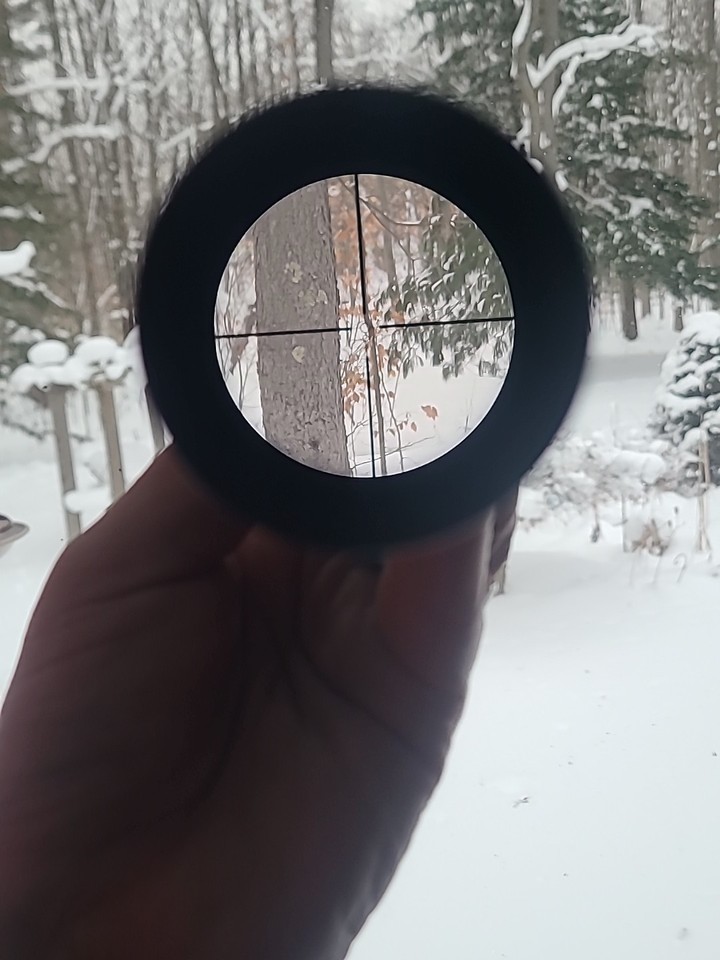 Nikon Coyote Special Rifle Scope 4-12x40 BDC Reticle Predator ...