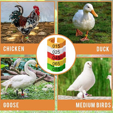 Adjustable 100 Pcs Chicken Leg Rings, Colorful Numbered Chicken Identificatio...