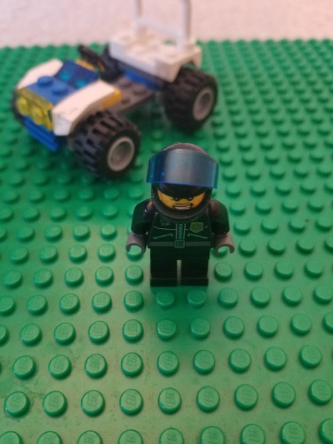 lego 30013