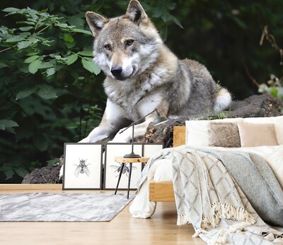 3D Young Wolf O205 Animal Wallpaper Wall Murals Removable Wallpaper Fay