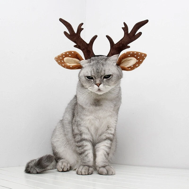 Deer ears best sale and antlers headband
