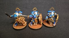 Ultramarines  Bladeguard Veterans  Painted  Ready for Battle