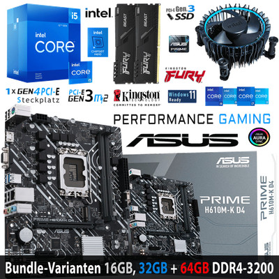 PC Bundle / Intel i5 12400F / ASUS Prime H610M-K D4, mit 16, 32 +64GB DDR4-3200
