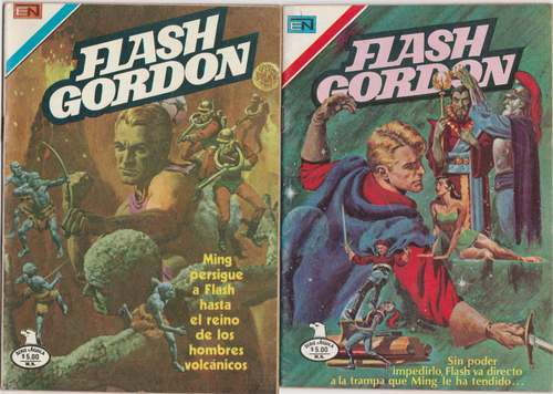 LOTE DE 12 CÓMICS FLASH GORDON EDITORIAL NOVARO AÑOS 80 CÓMIC ESPAÑOL ENVÍO GRATUITO DHL - Imagen 3 de 6
