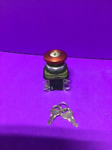 Allen Bradley 800T-E15 Ser T Cylinder Spring Bolt Lock Pushbutton w/ E144 Key - Picture 6 of 8