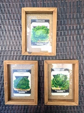 Framed Vintage 1920s Card Seed Co. Packets Set of 3 Burlap Mat Heirloom Cabbages