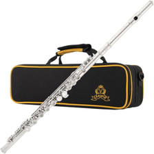 Closed Hole C Flute 16 Keys Instrument for Student Beginners with Cleaning Kit,