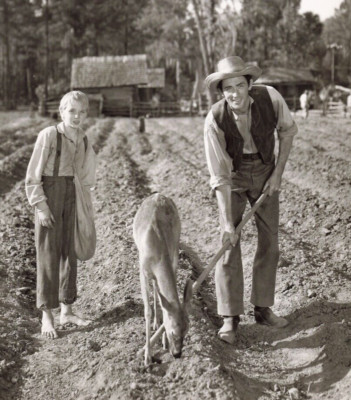 Gregory Peck Claude Jarman Jr 1946 Movie Photo The Yearling  *P132c