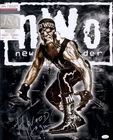 Hulk Hogan Signed " Hollywood " 16x20 NWO Wrestling Photo AUTO JSA COA