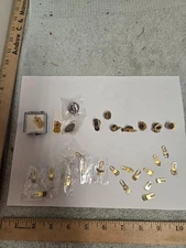 lot of various leadership lions pins, longevity tabs, sponsor patch