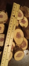 12 Unfinished Oval Cedar Wood Slices 2in for Shapes Craft Projects