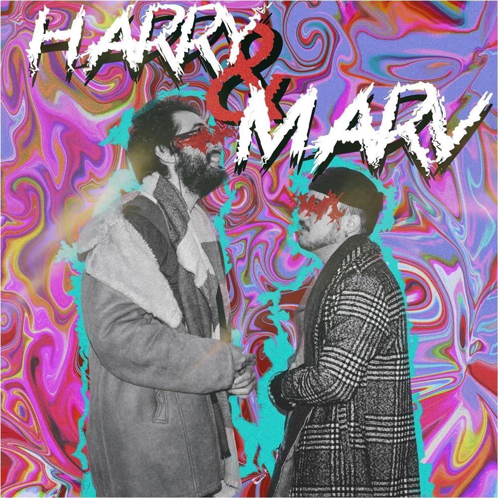 Harry & Harry - Harry & Harry (Audio Cd)