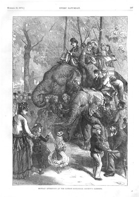Monday Afternoon at the London Zoological Society's Gardens - Elephants- 1871