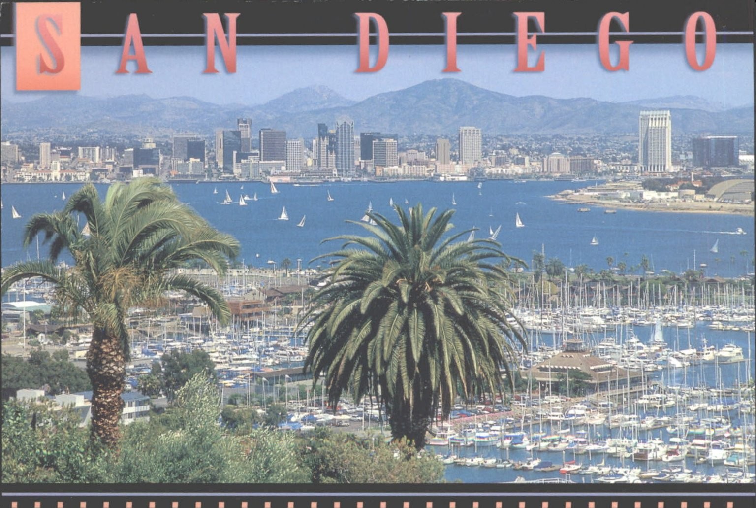 Vintage San Diego California Postcard Skyline Bay Road Runner K-241