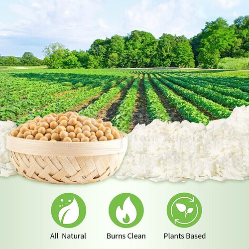 Bulk 100% Pure Soy Wax Natural Kosher Candle Making Supplies Crafts Cruelty Free - Picture 4 of 23