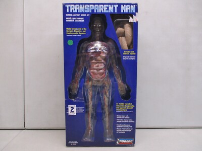 Lindberg Transparent Man