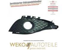 Lüftungsgitter, Stoßfänger rechts DIEDERICHS 1682048 für MERCEDES-BENZ