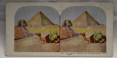 The Sphinx Pyramid and kneeling camel Cairo Egypt Stereoview