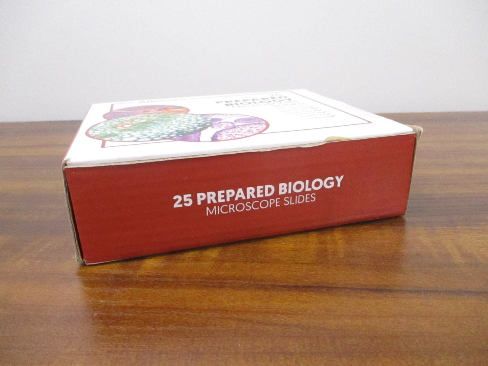 AmScope 25 Prepared Microscope Slides Glass with Wooden Box PS25W NEW