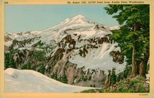 Vintage Mt. Baker from Austin Pass Washington Postcard Adams News Co.
