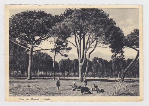 TO LU 04 Forte dei Marmi Pineta viaggiata 1963