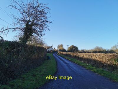 Photo 12x8 Curry Mallet : Staundle Lane Looking along Staundle Lane. c2022