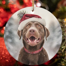 Cute Chesapeake Bay Retriever Dog Santa Hat Winter Christmas Ornament Gift Decor