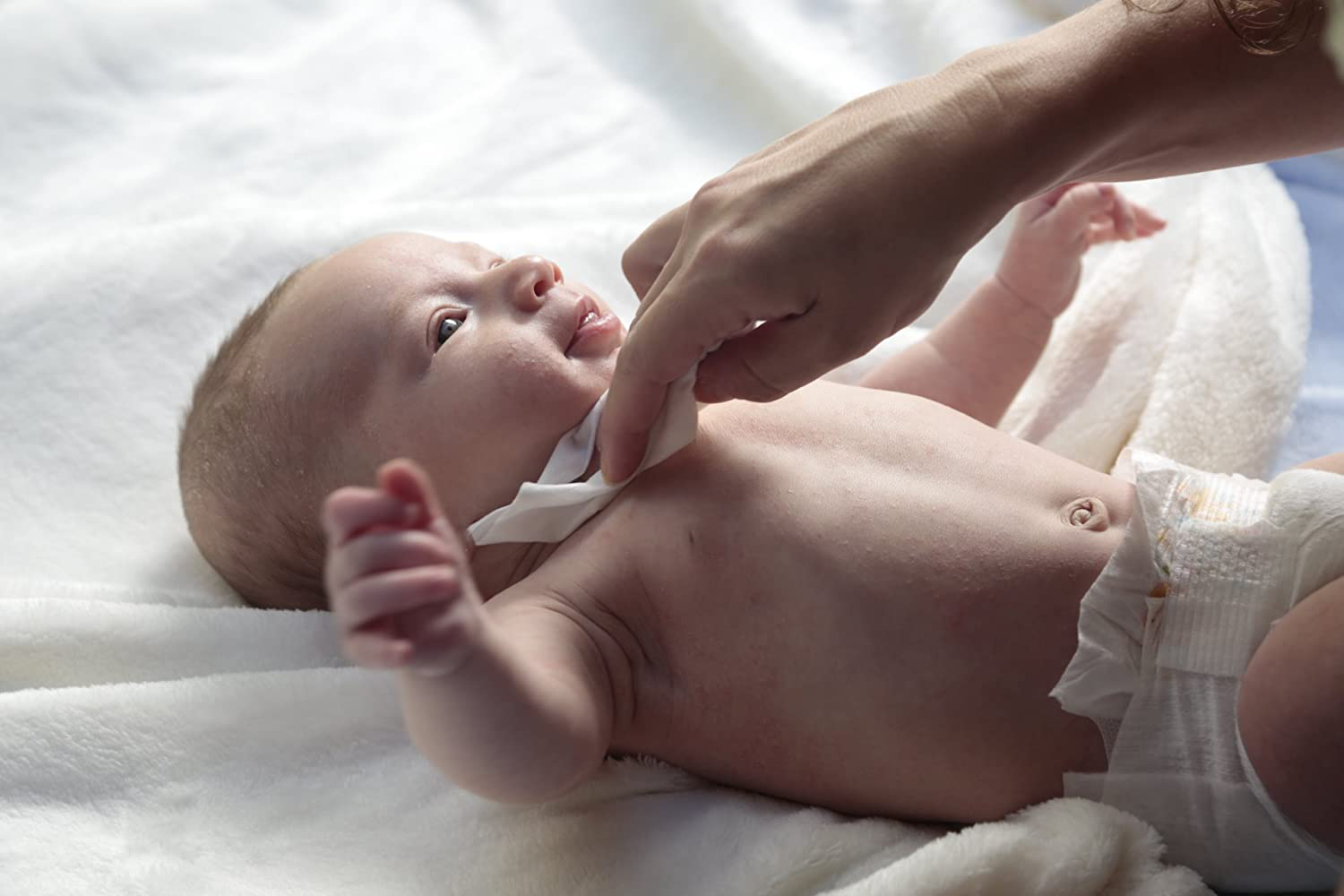 babyganics wipes 800 count