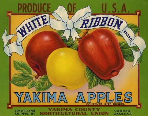 White Ribbon Brand Apple Label - Yakima County Hort - 12/25 Bushel