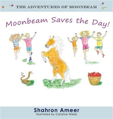 Moonbeam Saves the Day (Hardback or Cased Book)
